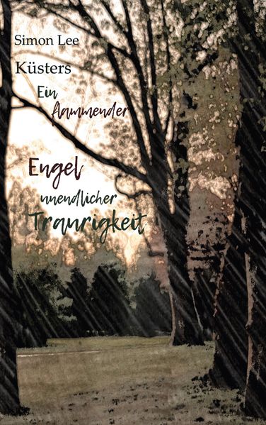 Cover von Ein flammender Engel unendlicher Traurigkeit