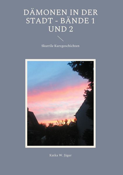Cover von Dämonen in der Stadt – Bände 1 und 2