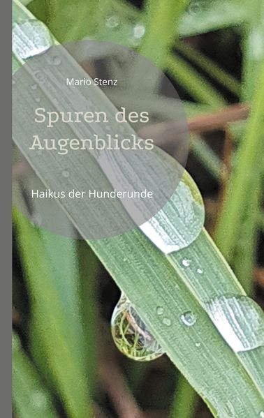 Cover von Spuren des Augenblicks