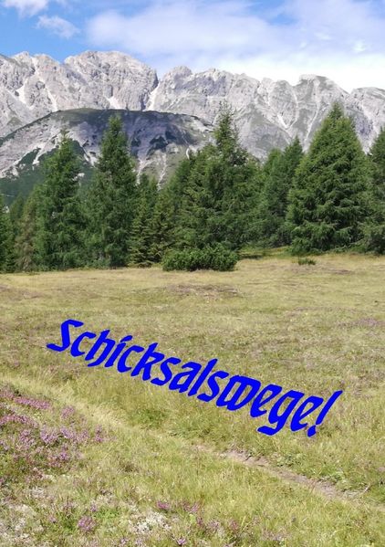 Cover von Schicksalswege