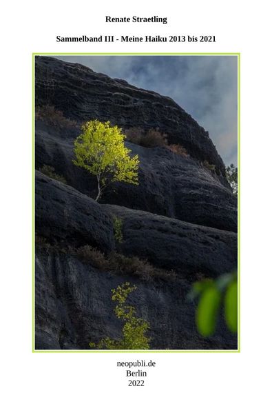 Cover von Sammelband III – Meine Haiku 2013 bis 2021