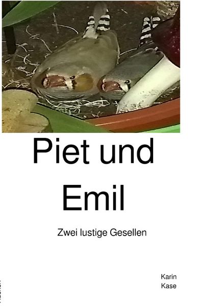 Cover von Piet und Emil