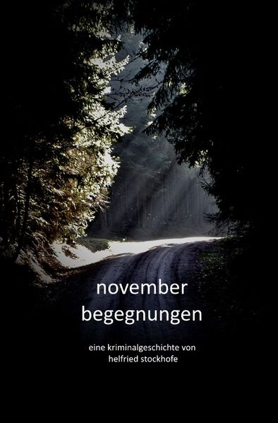 Cover von Novemberbegegnungen