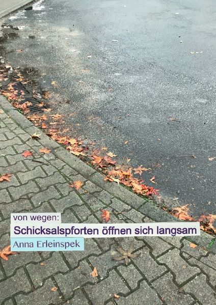 Cover von von wegen: Schicksalspforten öffnen sich langsam