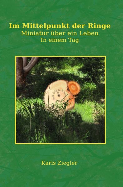 Cover von Im Mittelpunkt der Ringe