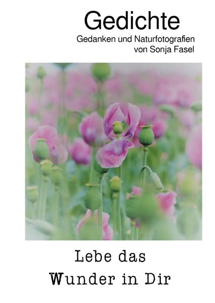 Cover von Lebe das Wunder in Dir