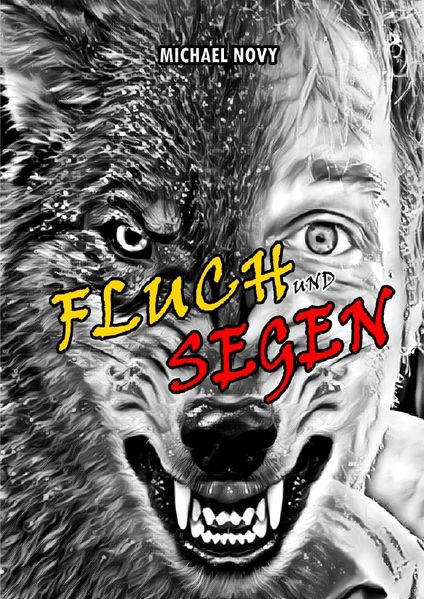 Cover von FLUCH & SEGEN