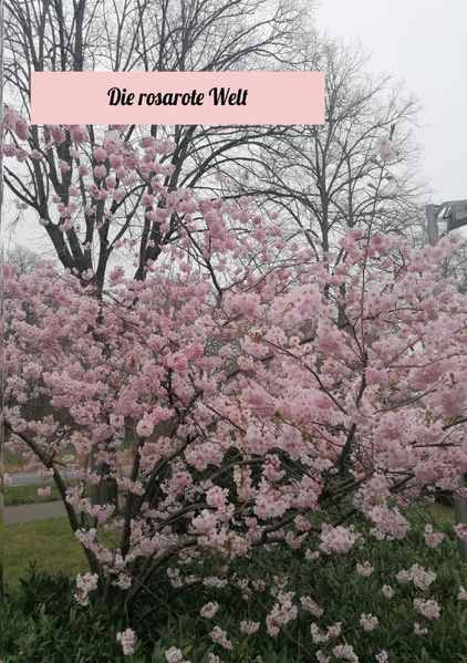Cover von Die Rosarote Welt