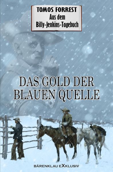 Cover von Aus dem Billy-Jenkins-Tagebuch: Das Gold der Blauen Quelle