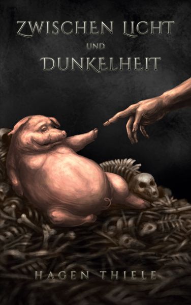 Cover von Zwischen Licht und Dunkelheit