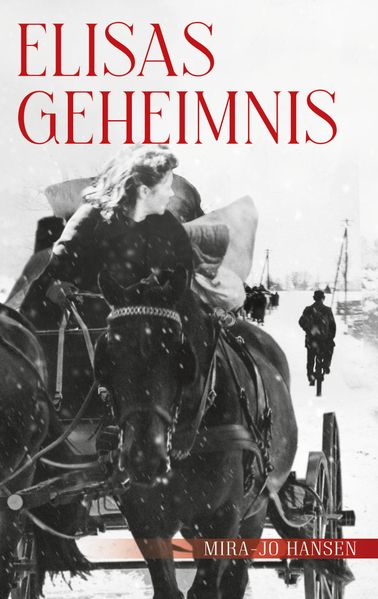 Cover von Elisas Geheimnis