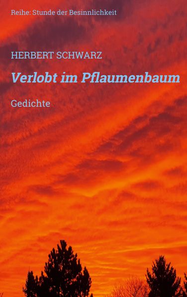 Cover von Verlobt im Pflaumenbaum