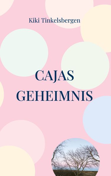 Cover von Cajas Geheimnis