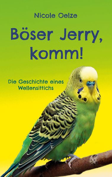 Cover von Böser Jerry, komm!