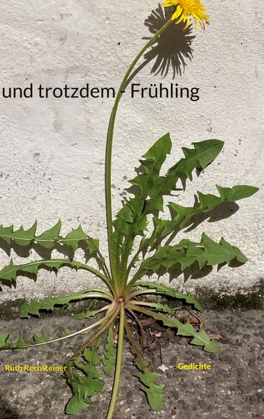 Cover von und trotzdem – Frühling