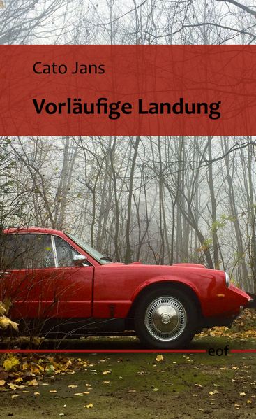 Cover von Vorläufige Landung