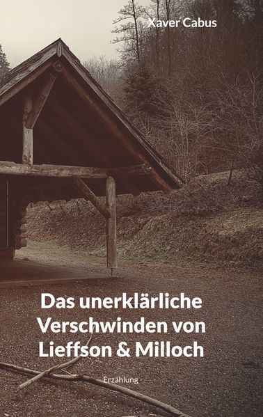Cover von Das unerklärliche Verschwinden von Lieffson & Milloch