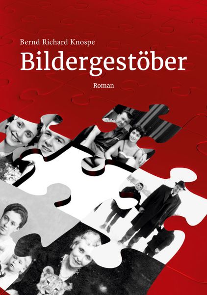 Cover von Bildergestöber