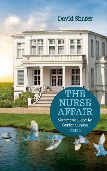 Cover von The Nurse Affair