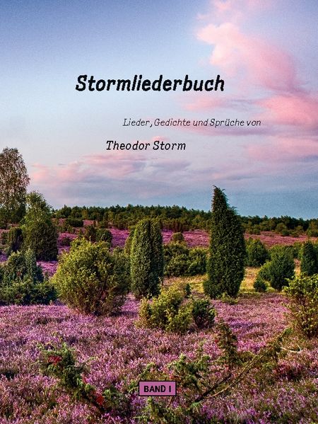 Cover von Stormliederbuch