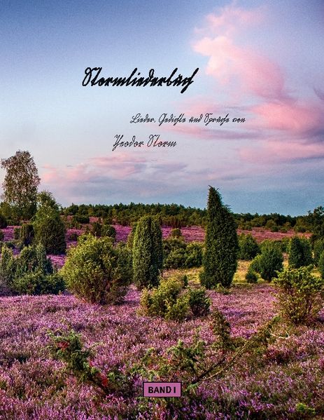 Cover von Stormliederbuch – Sütterlin