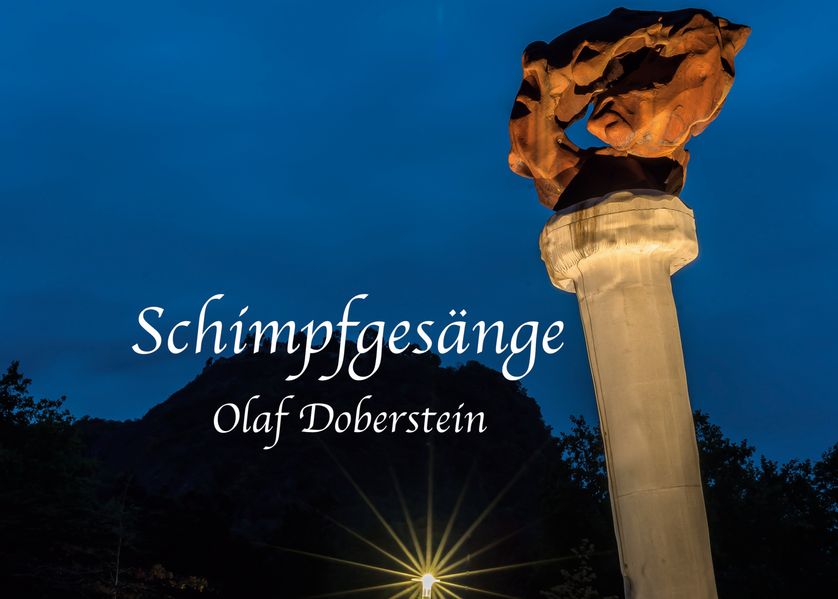 Cover von Schimpfgesänge