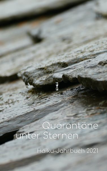 Cover von Quarantäne unter Sternen