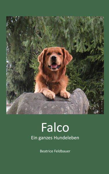 Cover von Falco