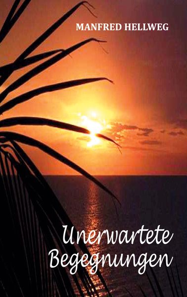 Cover von Unerwartete Begegnungen