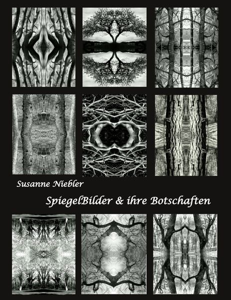 Cover von SpiegelBilder und ihre Botschaften