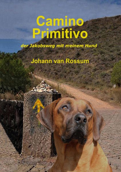 Cover von Camino Primitivo
