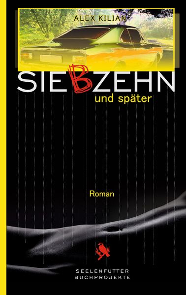 Cover von Siebzehn und später