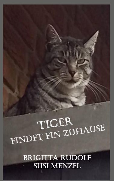 Cover von Tiger findet ein Zuhause