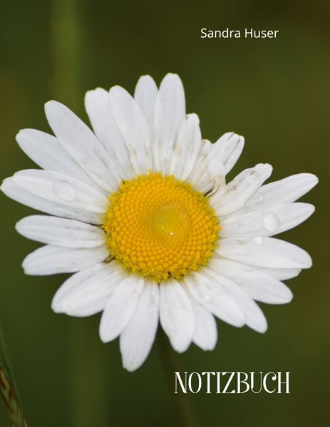 Cover von Blumenliebe