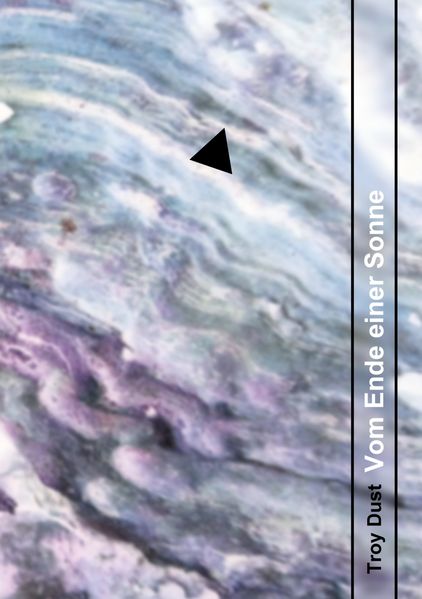Cover von Vom Ende einer Sonne