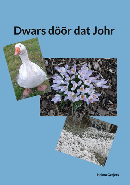 Cover von Dwars döör dat Johr