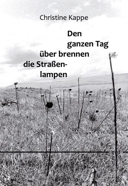 Cover von Den ganzen Tag über brennen die Straßenlampen