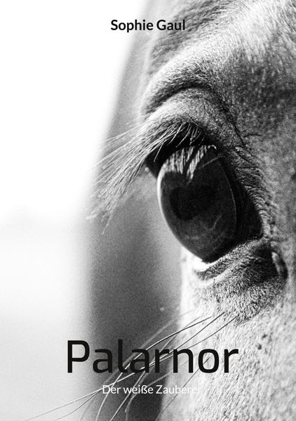 Cover von Palarnor