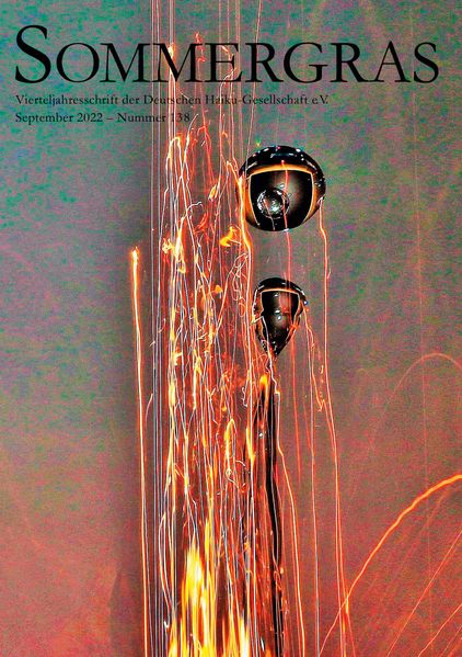 Cover von Sommergras 138