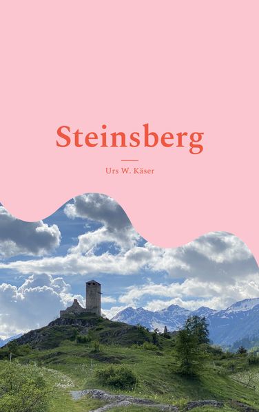 Cover von Steinsberg