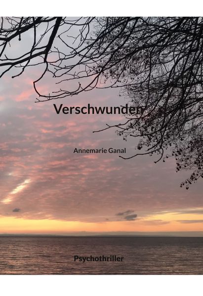 Cover von Verschwunden