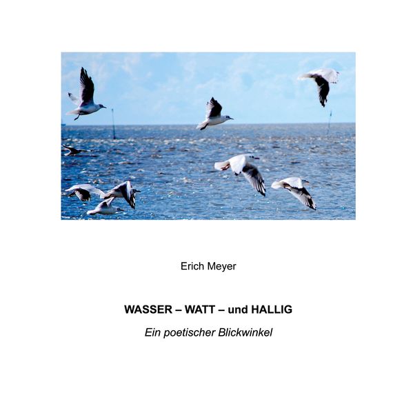 Cover von Wasser – Watt – und Hallig