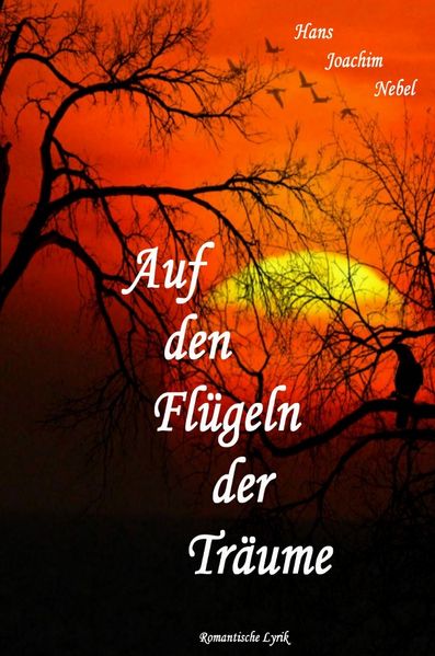 Cover von Auf den Flügeln der Träume