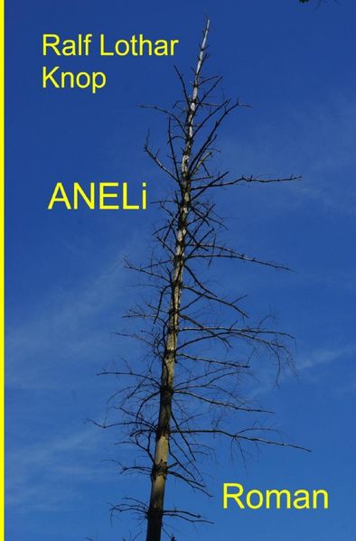 Cover von ANELi