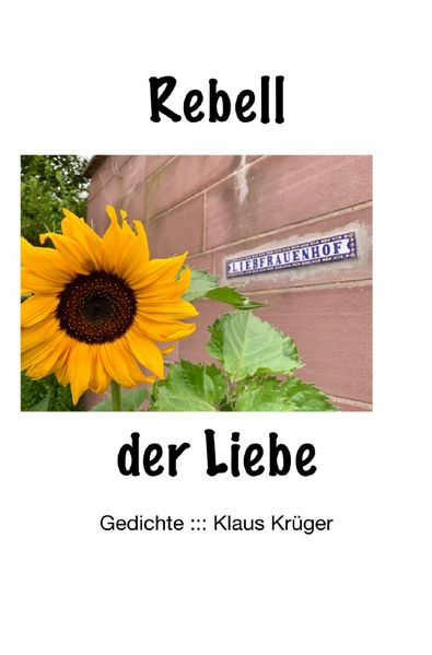 Cover von Rebell der Liebe