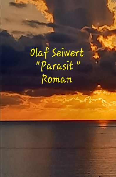 Cover von Olaf Seiwert