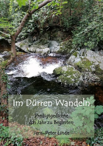 Cover von Im Dürren Wandeln