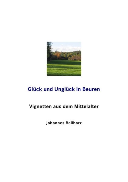 Cover von Glück und Unglück in Beuren