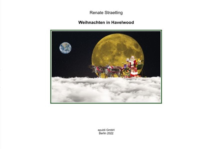 Cover von Eine Weihnachtsgeschichte aus Havelwood