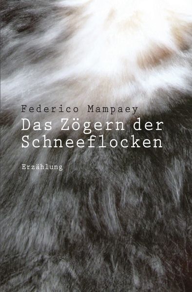 Cover von Das Zögern der Schneeflocken